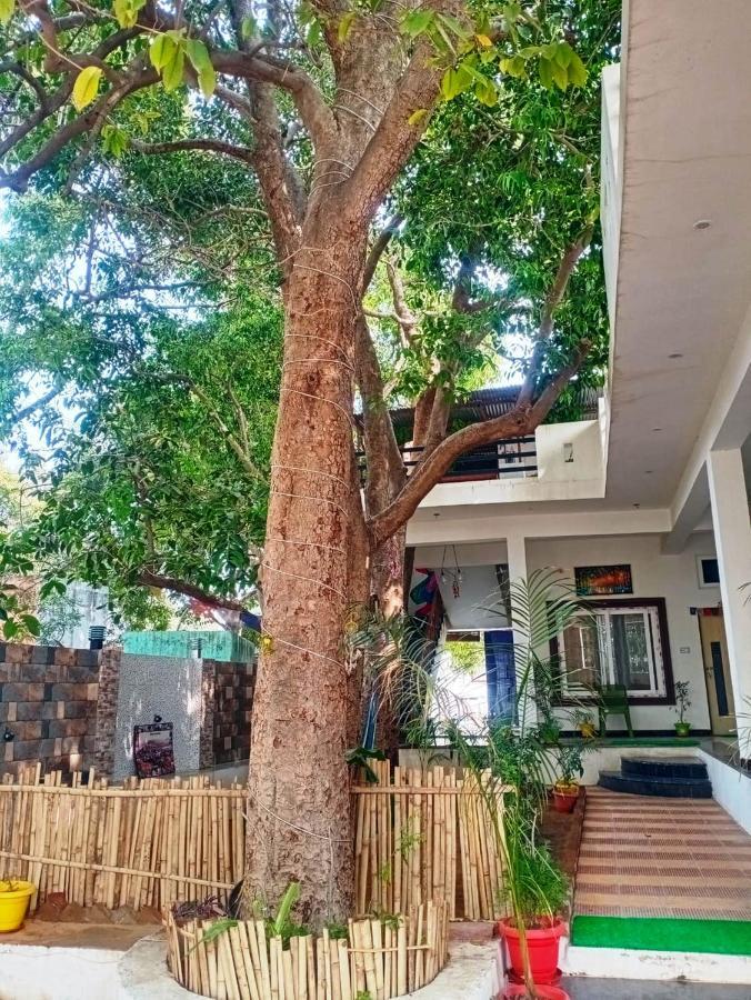 Vila Green Hub Puškar Exteriér fotografie